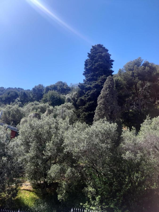 Spectacular Sea View - 3 Minutes Walk From The Sea Villa Laigueglia Exterior foto