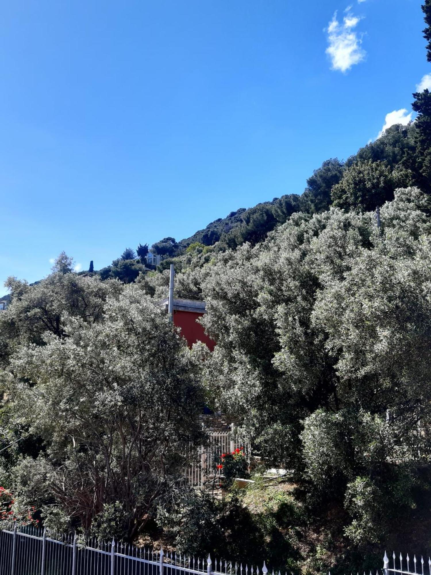 Spectacular Sea View - 3 Minutes Walk From The Sea Villa Laigueglia Exterior foto
